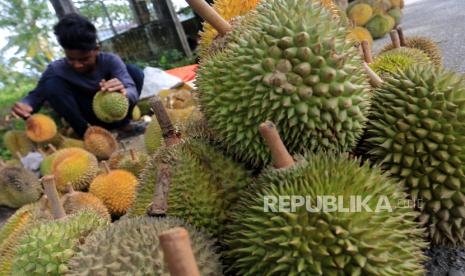 Buah durian.