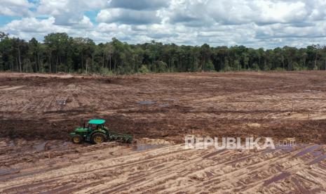 Pekerja menggunakan traktor saat mengolah tanah untuk tanaman singkong di areal lumbung pangan nasional food estate di Tewai Baru, Kabupaten Gunung Mas, Kalimantan Tengah, Sabtu (6/3). Pemerintah Pusat menargetkan 30 ribu hektare luas lahan untuk Food Estate dengan komoditas singkong di daerah tersebut sudah tergarap secara maksimal pada tahun 2021, guna mendukung program cadangan pangan strategis nasional.