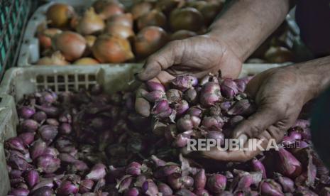 Pedagang menunjukkan bawang merah di Pasar Palmerah, Jakarta, Selasa (11/6/2024). Bawang merah memberikan andil terhadap deflasi Juni.