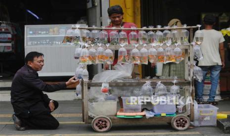  Seorang pedagang menjual ikan di sebuah jalan di Bogor, Kamis (11/5/2023). Bank Indonesia mencatat bahwa kinerja penjualan eceran secara tahunan diperkirakan akan tetap kuat.