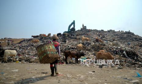 Pemulung menuju lokasi pencarian sampah daur ulang pada tumpukan sampah pembuangan terakhir di Tempat Pembuangan Akhir (TPA) Piyungan, Bantul, Yogyakarta, Senin (24/7/2023). Pemerintah Daerah (Pemda) Yogyakarta dan Pemkot Yogyakarta menutup operasional TPA Piyungan mulai 23 Juli hingga 5 September karena zona pembuangan sampah penuh dan melebihi kapasitas. Sedangkan tampungan sampah yang baru masih dikerjakan hingga awal Oktober mendatang. Sehingga untuk pengelolaan sampah untuk sementara akan dikembalikan kepada kabupaten/ kota masing-masing.