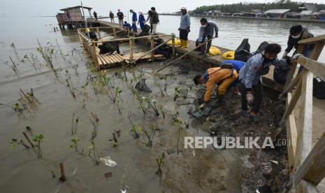 Sejumlah mahasiswa yang tergabung dalam Aliansi Pemuda Peduli Lingkungan membersihkan sampah di area Wisata Mangrove Pantai Karangantu, Serang, Banten, Kamis (28/10/2021). Aksi tersebut digelar dalam rangka memperingati Hari Sumpah Pemuda ke-93 sekaligus Hari Bersih-bersih Dunia (World Cleanup Day) 2021. 