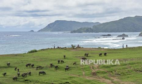 Suasana Bukit Merese di Kawasan Ekonomi Khusus (KEK) Mandalika di Kecamatan Pujut, Praya, Lombok Tengah, NTB, Jumat (8/1/2021). Dinas Pariwisata Kabupaten Lombok Tengah, Nusa Tenggara Barat (NTB) menyatakan, destinasi wisata yang ada di daerah itu siap untuk dikunjungi wisatawan pada libur lebaran 2022.