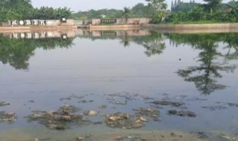 Situ Bahar Cilodong Tercemar, Pemkot Depok Petakan Langkah Penyelesaian