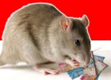 Tikus birokrasi