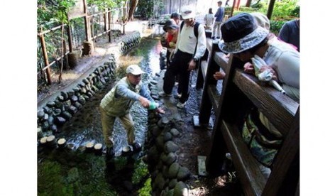 12 tempat gratis dan bebas biaya masuk di Tokyo, Masugata-no-ike Springs