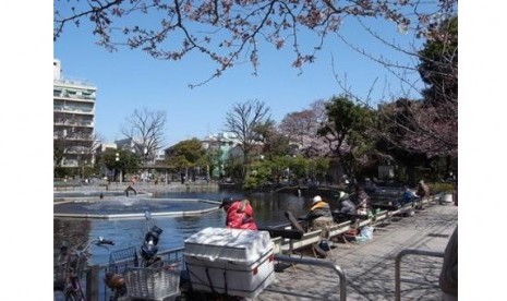 12 tempat gratis dan bebas biaya masuk di Tokyo, kolam pancing Shimizu-ike Municipal Park