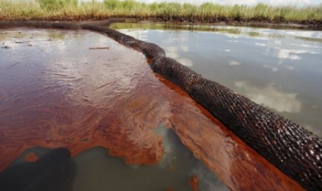 Dalam foto tertanggal 26/6/2010 ini tumpahan minyak dari Deepwater Horizon terlihat menggenangi Bay Jimmy di Plaquemines Parish, Louisiana. Dalam foto tertanggal 26/6/2010 ini tumpahan minyak dari Deepwater Horizon terlihat menggenangi Bay Jimmy di Plaquem