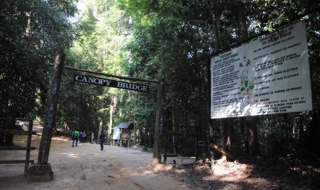 Canopy Bridge di Kawasan Wisata Alam Bukit Bangkirai di Kabupaten Kutai Kertanegara, Kalimantan Timur.