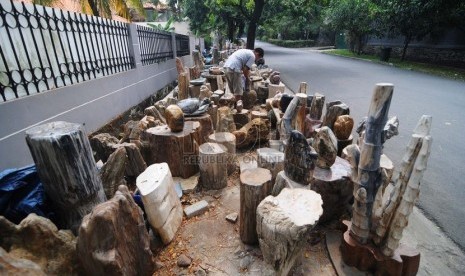  Pedagang fosil kayu, Wawan (31) menjajakan dagangannya di kawasan Kemang Dalam, Jakarta Selatan, Senin (3/11).   (Republika/Raisan Al Farisi)