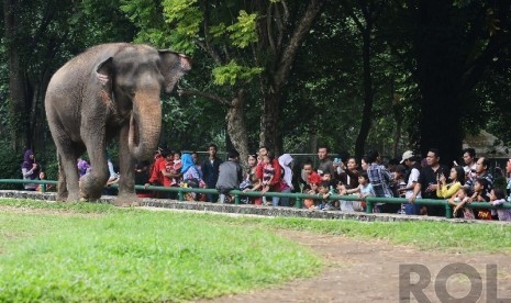 Ragunan Zoo