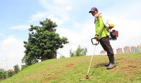 Petugas memotong rumput di samping pohon Baobab (Adansonia Digitata) yang merupakan tanaman khas Madagaskar di Taman Waduk Ria-rio, Pulogadung, Jakarta, Jumat (30/1).   (Antara/Akbar Nugroho Gumay)