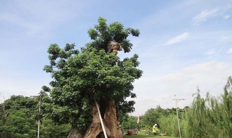 Pohon untuk penghijauan