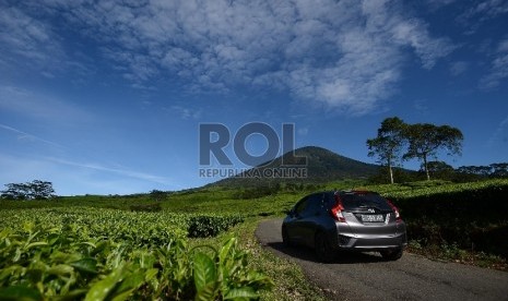 Sebuah mobil melintas di perkebunan teh Gunung Dempo yang terletak di Kabupaten Pagar Alam, Palembang, Sumatera Selatan, Sabtu (2/5).   (Republika/Raisan Al Farisi) 