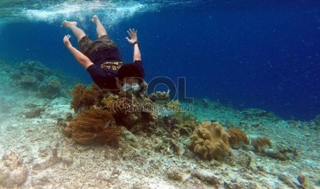 Wisatawan menyelam di kawasan wisata Raja Ampat, Papua Barat.  (Republika/Yasin Habibi)