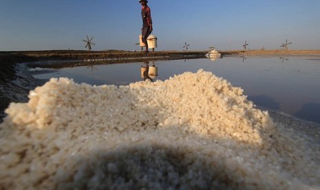   Pekerja memanen garam di desa Santing, Kecamatan Losarang, Indramayu, Jawa Barat, Senin (22/6).   (Antara/Dedhez Anggara)