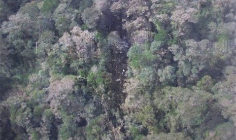  Foto yang dirilis oleh Badan SAR Nasional (Basarnas), memperlihatkan puing pesawat Trigana Air yang hilang kontak di kawasan Oksibil,Papua, Senin (17/8).    (AP/Basarnas)