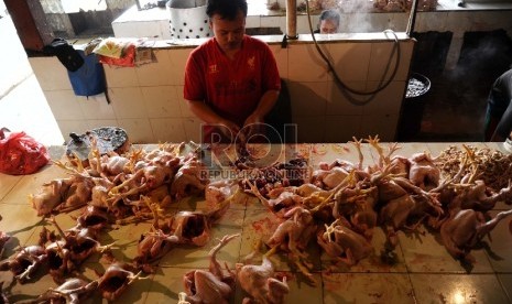 Pedagang ayam potong di Pasar Kramat Jati, Jakarta.   (Republika/Tahta Aidilla)