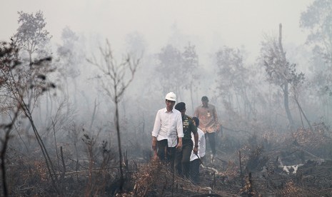 Presiden Joko Widodo didampingi Panglima TNI Jenderal TNI Gatot Nurmantyo (kanan) dan Kapolri Jenderal Pol Badrodin Haiti (tengah) meninjau lokasi kebakaran lahan di Desa Pulo Keronggan, Ogan Komering Ilir, Sumsel, Ahad (6/9). (Antara/Nova Wahyudi)