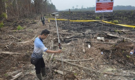 Petugas BPN menggunakan alat ukur memetakan lahan milik perusahaan perkebunan yang dibakar dan telah ditanami sawit di Kalteng. (Ilustrasi)  