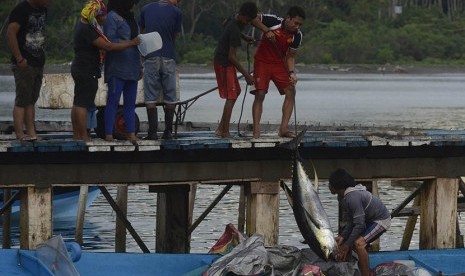 Fishermen unloading tuna fish at the dock of Daeo Village, Morotai Island, on Sunday (November 11, 2016).   (Antara/Fanny Octavianus)