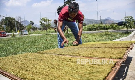 Petani membawa menjemur tembakau saat peringatan Hari Petani Tembakau Sedunia di Gedung Budaya Sabilulungan, Soreang, Kabupaten Bandung, Selasa (29/10).