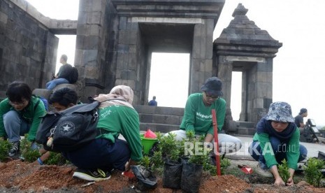 Menghijaukan Situs Ratu Boko. Mahasiswa dari berbagai universitas menanam pohon di Situs Ratu Boko, Sleman, Yogyalarta, Selasa (12/11/2019).