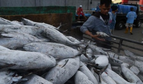 Pekerja memilih ikan hasil tangkapan nelayan di Pelabuhan Muara Baru, Jakarta, Jumat (15/11/2019).