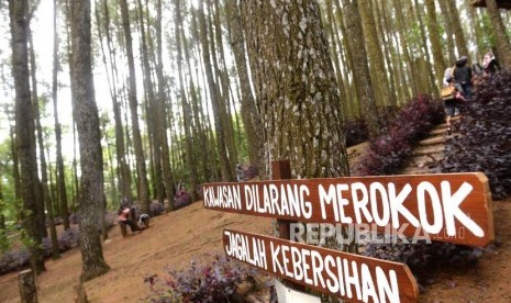 Ecowisawa Pinus Mangunan. Wisatwan mengujungi kawasan wisata Pinus Mangunan, Bantul, Yogyakarta, Ahad (12/1).