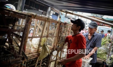 Sejumlah pedagang burung pipit menjajakan dagangannya.