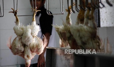 Rumah Pemotongan Unggas: Pekerja memotong ayam di Rumah Pemotongan Unggas (RPU), Jakarta Selatan, Rabu (27/11).