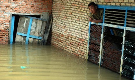 Warga mengeluarkan kepala dari ventilasi rumah saat terjadi banjir luapan Sungai Kampar di Desa Kemang Indah, Kabupaten Kampar, Riau, Kamis (11/2). (Antara/Rony Muharrman)