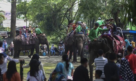 Pengunjung menikmati wahana tunggang gajah di Kebun Binatang Surabaya.