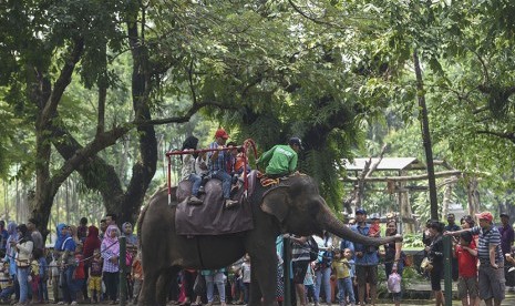 Pengunjung menikmati wahana tunggang gajah di Kebun Binatang Surabaya, Surabaya, Jawa Timur, Selasa (28/3). 