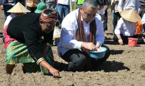 Menteri Desa PDTT, Eko Putro Sandjojo saat menanam bibit bawang putih di Desa Sembalun Lawang, Lombok Timur, Rabu (24/5).