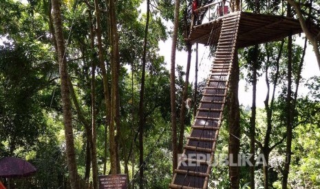 Lokasi wisata Rumah Pohon Temega di Desa Padang Kerta, Karangasem, Bali.