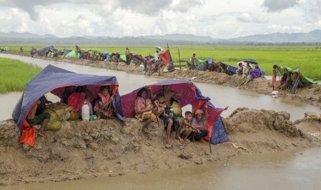  Pengungsi muslim Rohingya berteduh dari hujan di bawah kain plastik, setelah tentara Bangladesh   melarang mereka bergerak menuju kamp pengungsian di Palong Khali, Bangladesh.