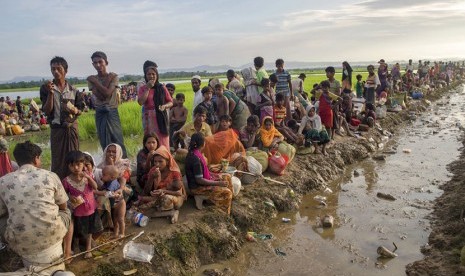  Ribuan pengungsi muslim Rohingya yang mealrikan diri dari Myanmar, tertahan di perbatasan di Palong Khali, Bangladesh, Selasa (17/10).