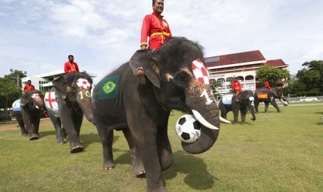  Pertandingan siswa sekolah sepak bola melawan gajah di provinsi Ayuthaya, Bangkok, Selasa (12/6).