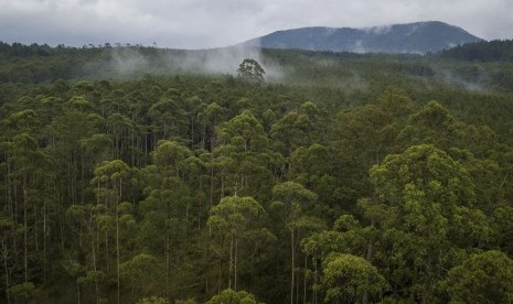 Foto udara kawasan hutan lindung di Cikole, Lembang, Kabupaten Bandung Barat, Jawa Barat, Selasa (6/11/2018).