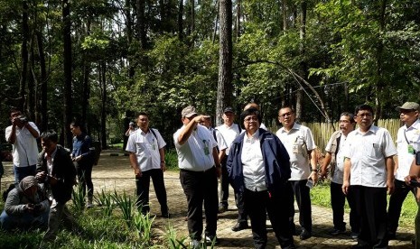 Menteri Siti Nurbaya yang didampingi Kepala Dinas Kehutanan Sumatera Selatan (Sumsel) Pandji Tjahjanto meninjau hutan kota Punti Kayu yang akan menjadi lokasi kunjungan kerja Presiden Joko Widodo. Dalam kunjungan ke Sumatera Selatan Presiden Joko Widodo direncanakan memberikan SK Perhutanan Sosial warga Sumsel.