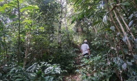 Hutan adat Mude Ayek Tebat Benawa di Dusun Tebat Benawa, Kelurahan Penjalang Kecamatan Dempo Selatan, Kota Pagaralam, SUmatera Selatan (Sumsel).