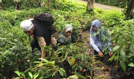 PLN Sumbar menanam 1.000 bibit pohon produktif dan pelindung di kawasan Danau Maninjau, Agam, Sumatra Barat. 