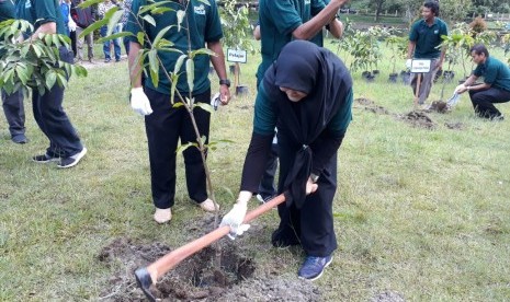 PLN Sumbar menanam 1.000 bibit pohon produktif dan pelindung di kawasan Danau Maninjau, Agam, Sumatra Barat. 