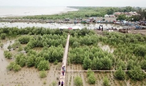 Pesona ekowisata hutan mangrove yang berada di pesisir Laut Jawa, Dusun Pasir Putih, Desa Sukajaya, Kecamatan Cilamaya Kulon, Karawang, Kamis (5/12).