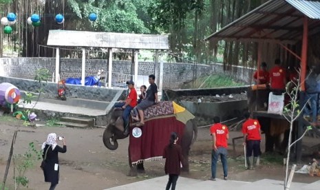 Suasana libur tahun baru di Taman Satwa Taru Jurug (TSTJ) Solo.