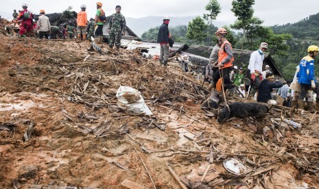 Petugas gabungan bersama anjing pelacak mencari korban yang tertimbun tanah longsor di kampung Cimapag, Desa Sirnaresmi, Kecamatan Cisolok, Kabupaten Sukabumi, Jawa Barat, Kamis (3/1/2019). 