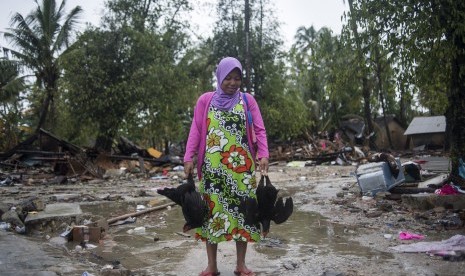 Penyintas tsunami Selat Sunda, Suhana (25) membawa dua ekor ayam dari bekas rumahnya yang rusak diterjang tsunami di Sumur, Pandeglang, Banten, Kamis (3/1/2019). Kementerian Keuangan memastikan penyediaan anggaran untuk antisipasi maupun penanggulangan bencana dengan pagu mencapai Rp 15 triliun pada 2019.