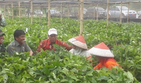 Menteri Pertanian (Mentan), Amran Sulaiman menyalurkan 1 juta bibit kopi di hulu sungai Citarum, Desa Cibereum, Kecamatan Kertasari, Kabupaten Bandung, Kamis (10/1). Dengan jenis kopi yang memiliki produktivitas tinggi. Selain bibit kopi, bibit lain yang disalurkan kepada petani yaitu kentang.