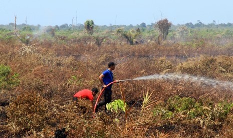 Sejumlah petugas memadamkan api yang membakar kawasan lahan gambut di Desa Lapang, Kecamatan Johan Pahlawan, Aceh Barat, Aceh, Rabu (30/1/2019). 